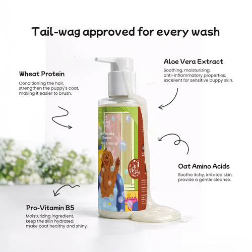 Anti Shedding Shampoo