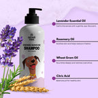 Rosemary Aromacare Shampoo