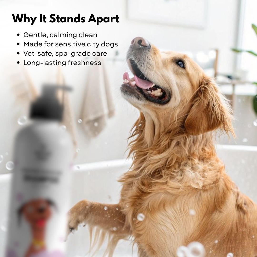 Rosemary Aromacare Shampoo