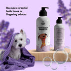 Rosemary Aromacare Shampoo