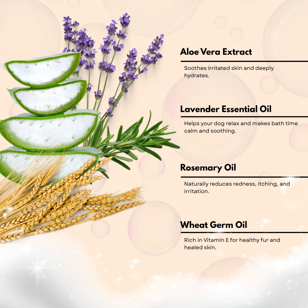 Tick and Flea Guard Shampoo